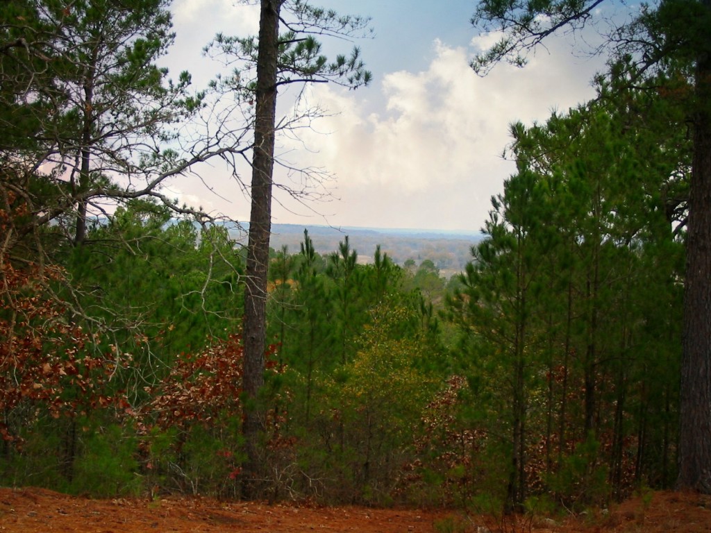 Hilltop Lookout